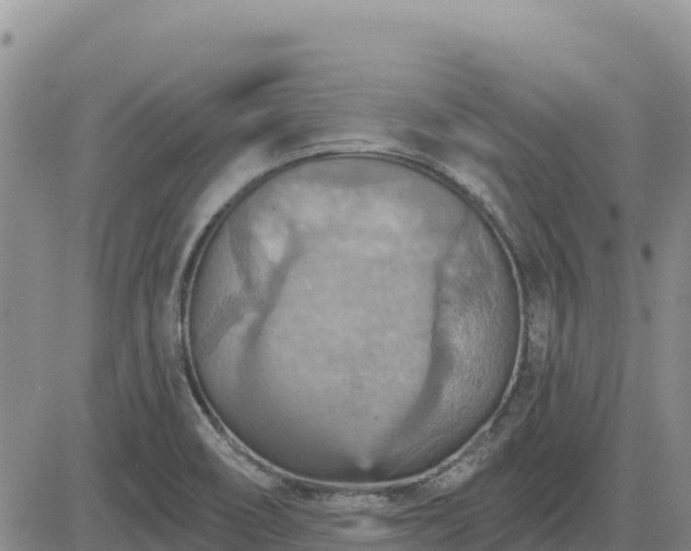 X0000084601466200703021612