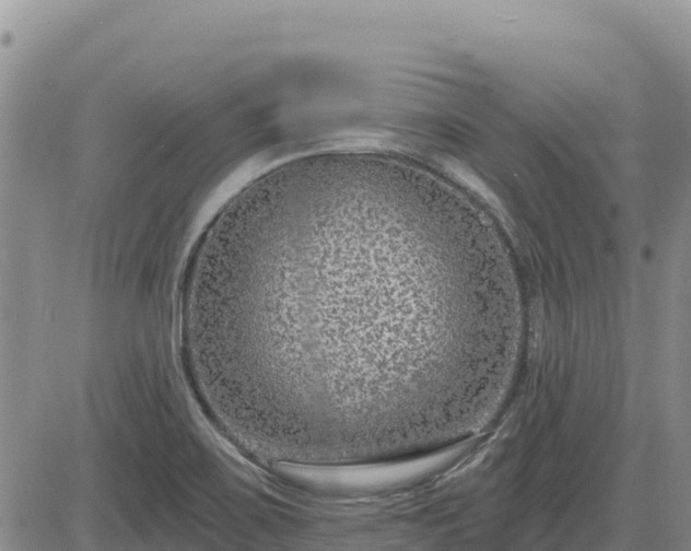 X0000084601467200703021612