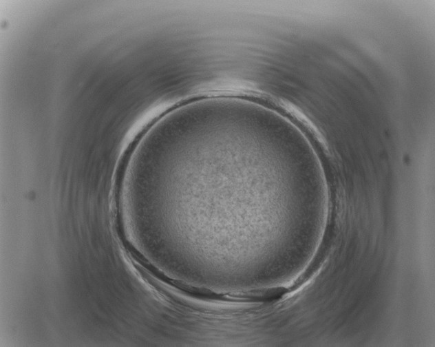 X0000084601469200703021612