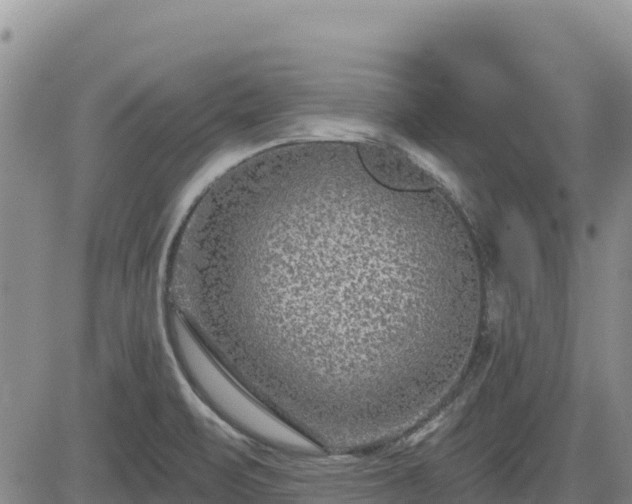 X0000084601471200703021612