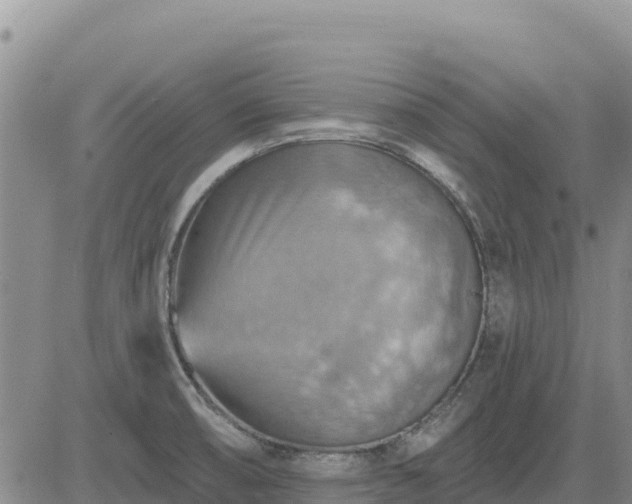 X0000084601474200703021612