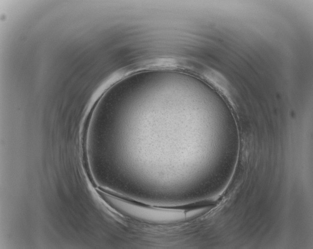 X0000084601475200703021612