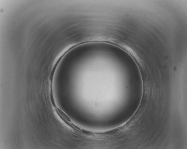 X0000084601476200703021612