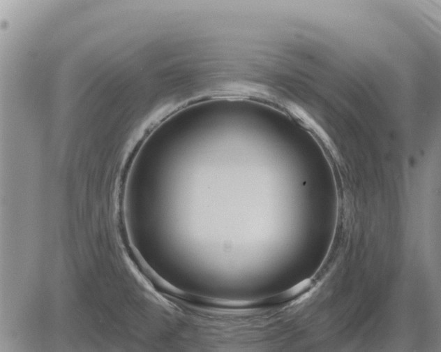 X0000084601477200703021612