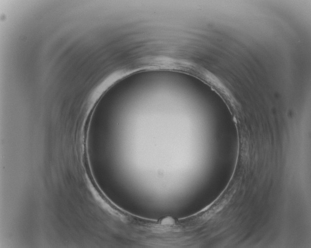 X0000084601479200703021612