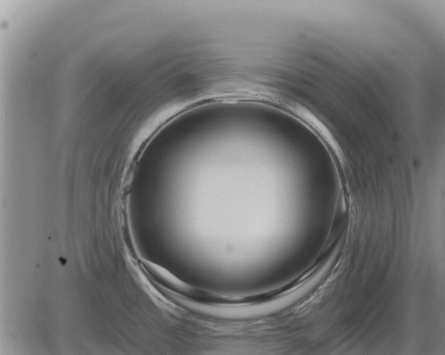 X0000084601485200703021612