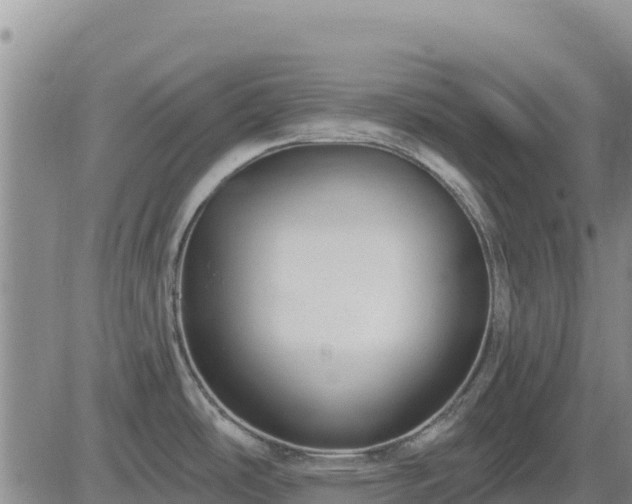 X0000084601486200703021612