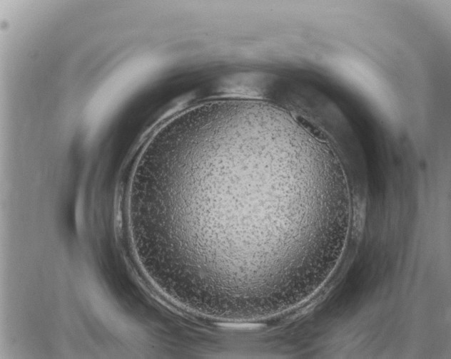 X0000084601487200703021612