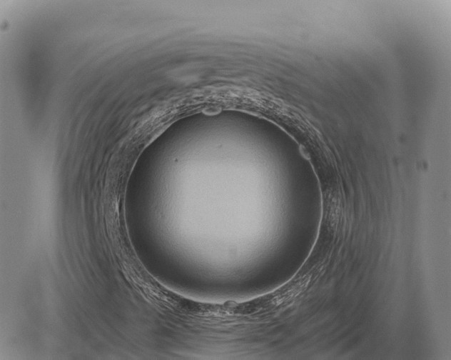 X0000084601489200703021611