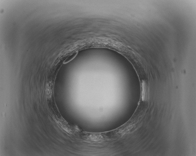 X0000084601491200703021611