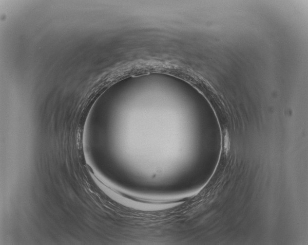 X0000084601492200703021611