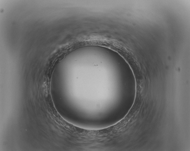 X0000084601493200703021611