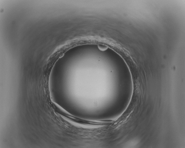 X0000084601494200703021611