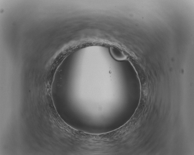 X0000084601495200703021611