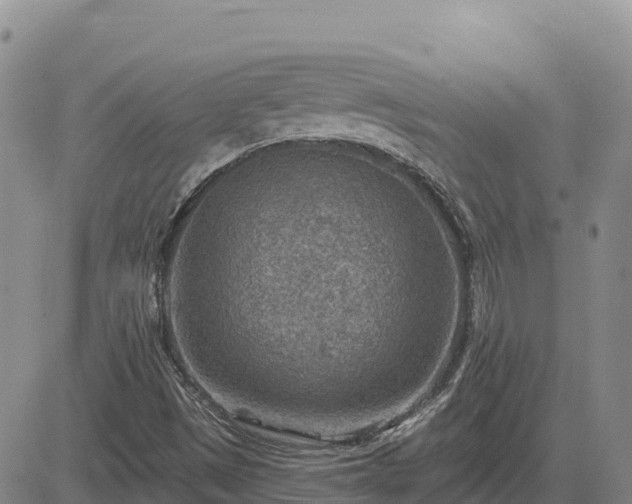 X0000084601497200703021611