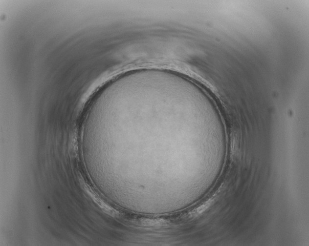 X0000084601498200703021611