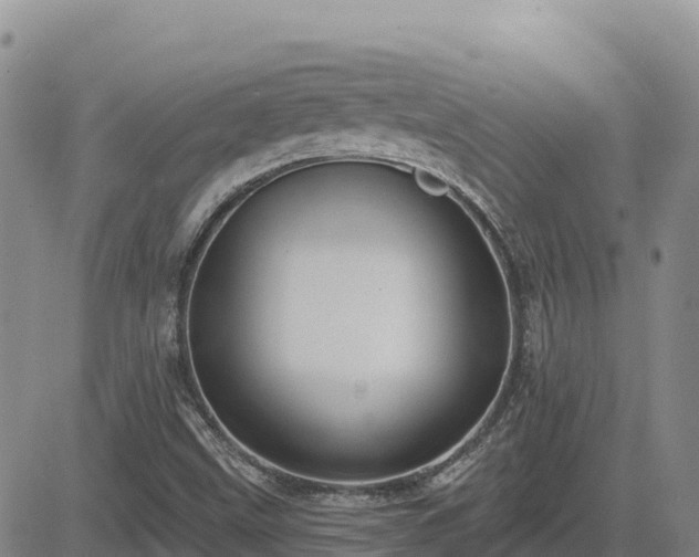 X0000084601499200703021611