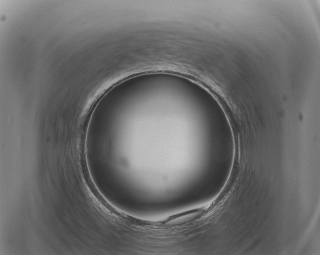 X0000084601500200703021611