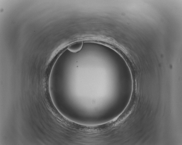 X0000084601501200703021611