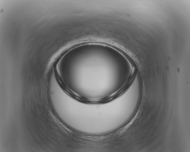 X0000084601502200703021611