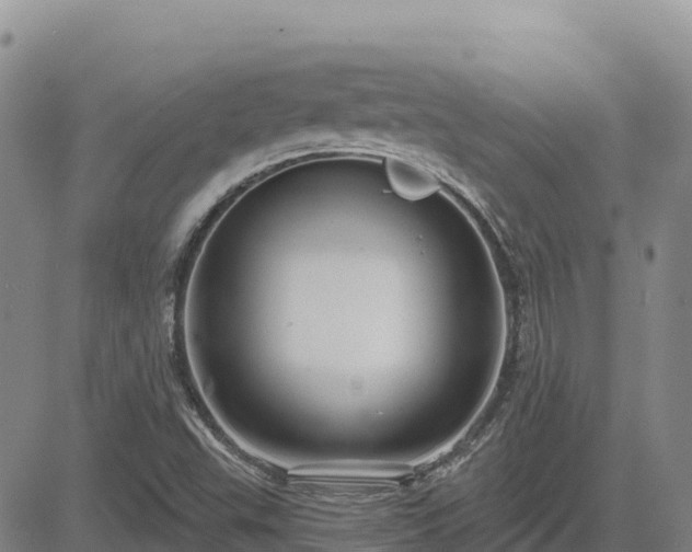 X0000084601503200703021611