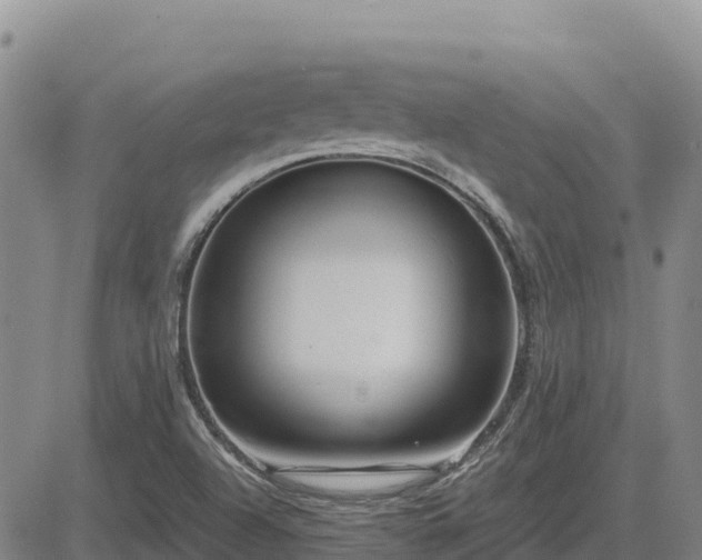 X0000084601504200703021611