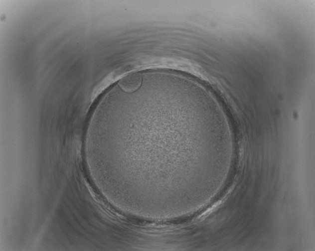 X0000084601505200703021611