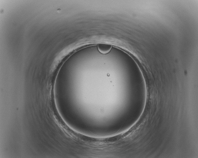 X0000084601507200703021611