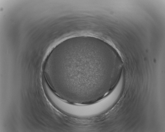 X0000084601508200703021611