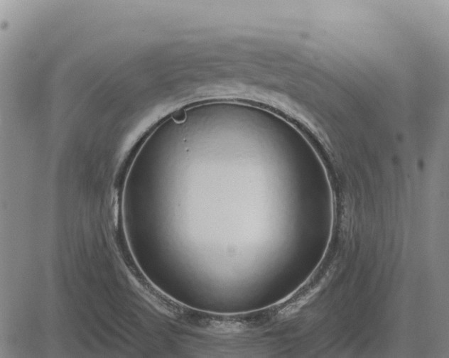 X0000084601509200703021611