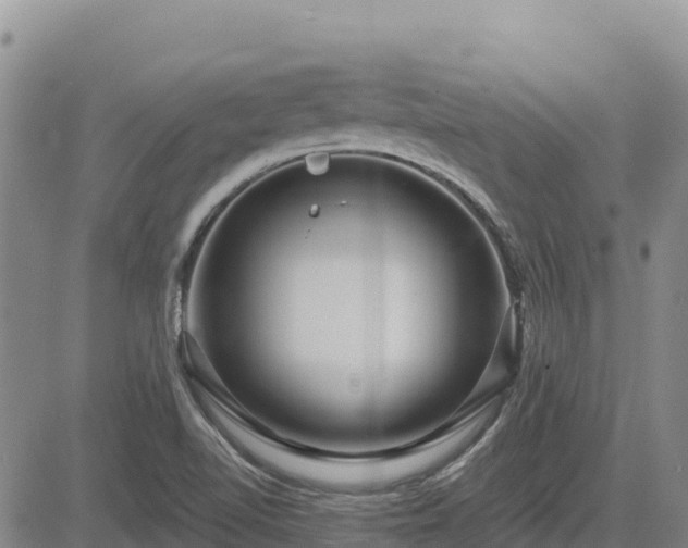 X0000084601510200703021611