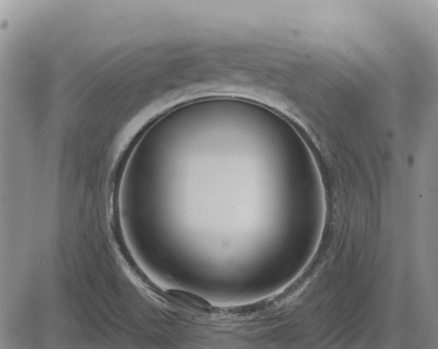 X0000084601511200703021611