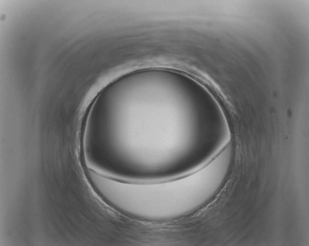 X0000084601512200703021611