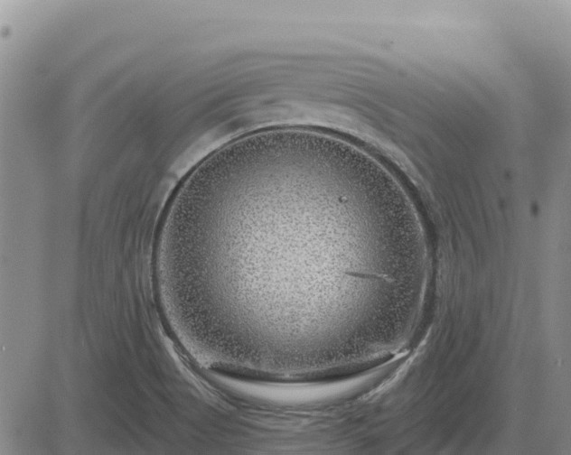 X0000084601513200703021611