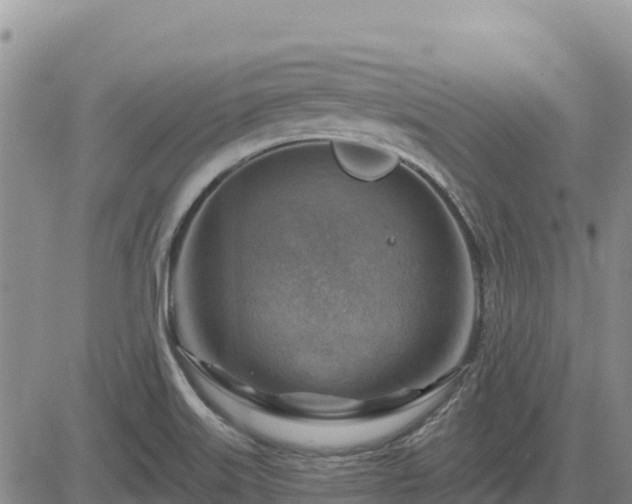 X0000084601515200703021611