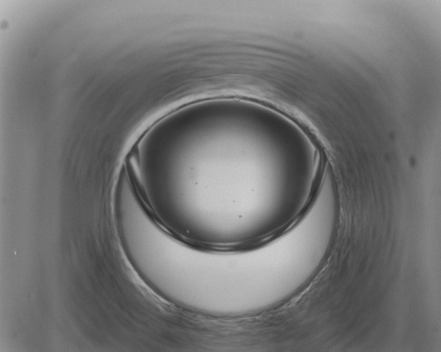 X0000084601516200703021611