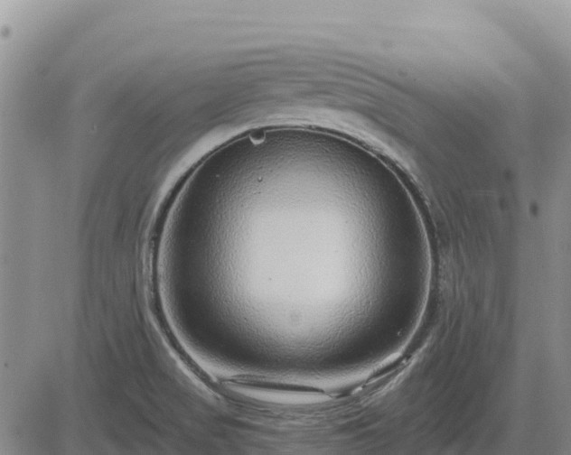 X0000084601517200703021611