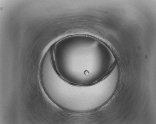 X0000084601518200703021611