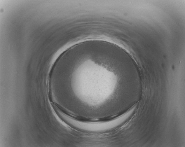 X0000084601519200703021611