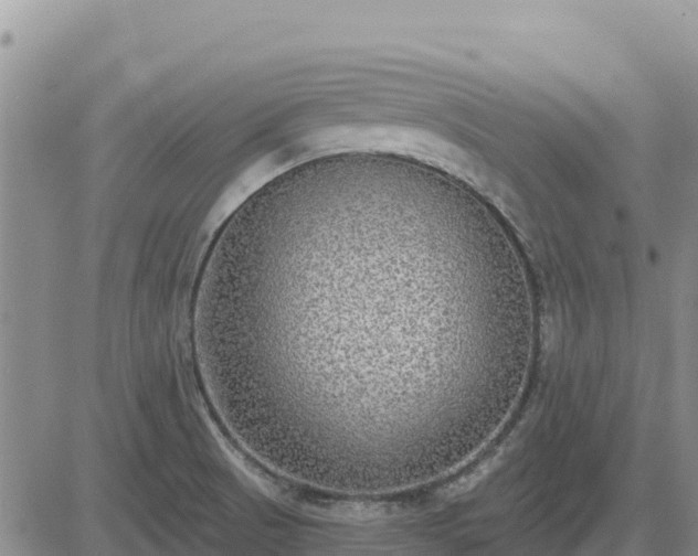 X0000084601521200703021611