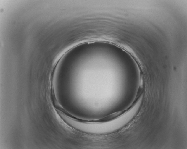 X0000084601524200703021611