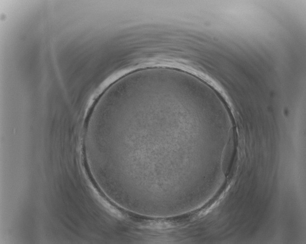 X0000084601525200703021611