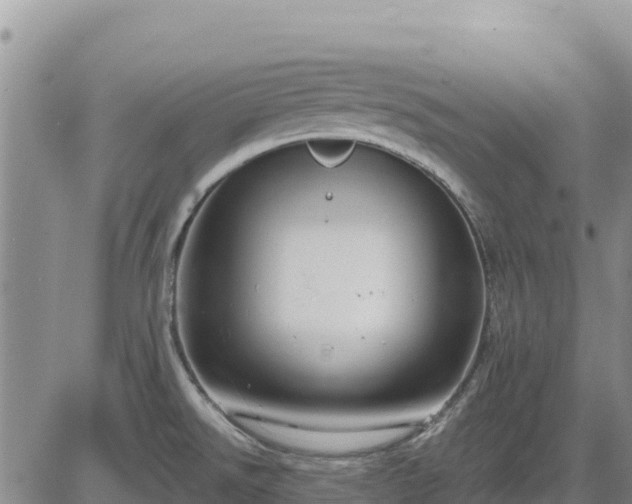 X0000084601526200703021611