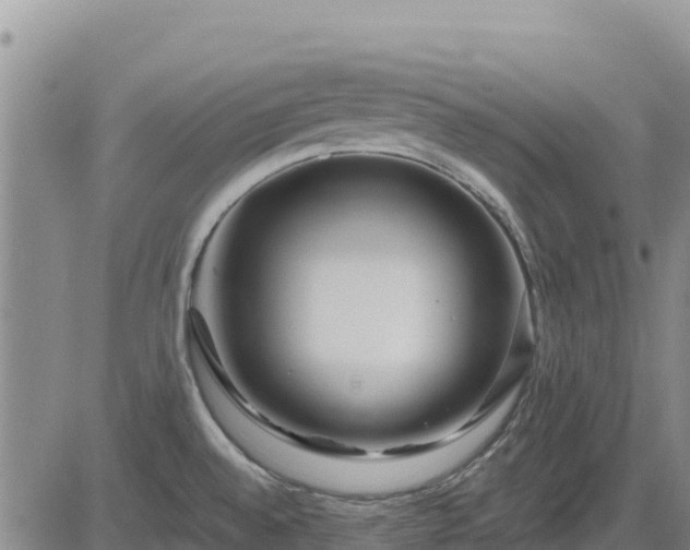 X0000084601528200703021612