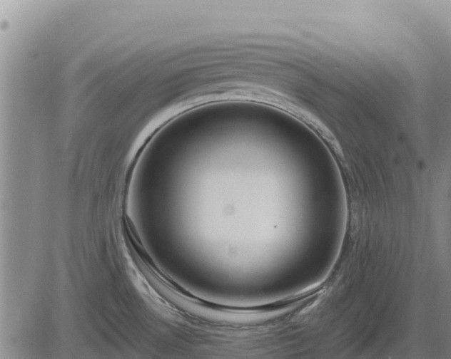 X0000084601530200703021612