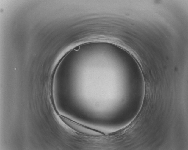 X0000084601531200703021612