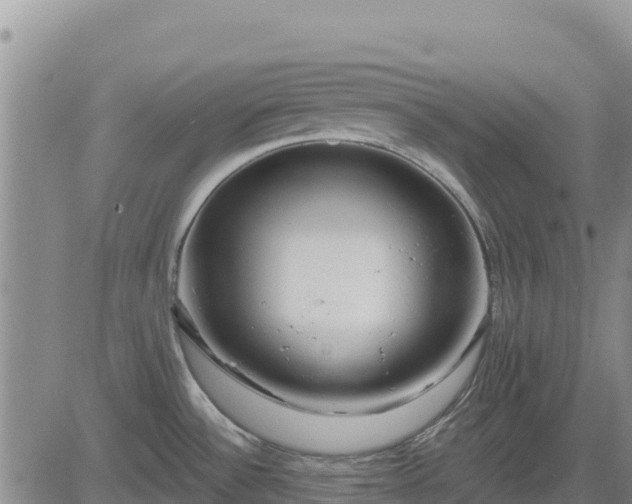 X0000084601532200703021612