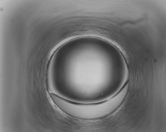 X0000084601534200703021612