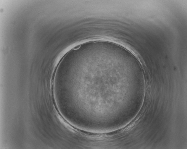 X0000084601535200703021612