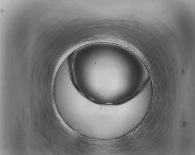 X0000084601536200703021612